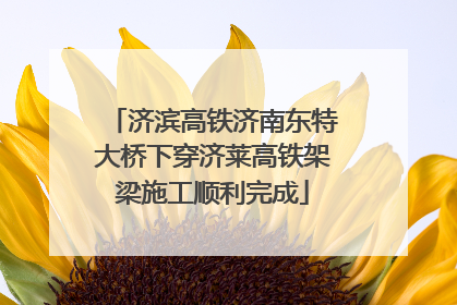 济滨高铁济南东特大桥下穿济莱高铁架梁施工顺利完成